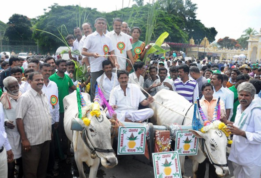 mysore-dasara 3